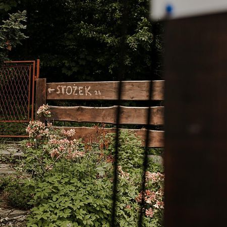 Willa Wislok Wisła Exteriör bild