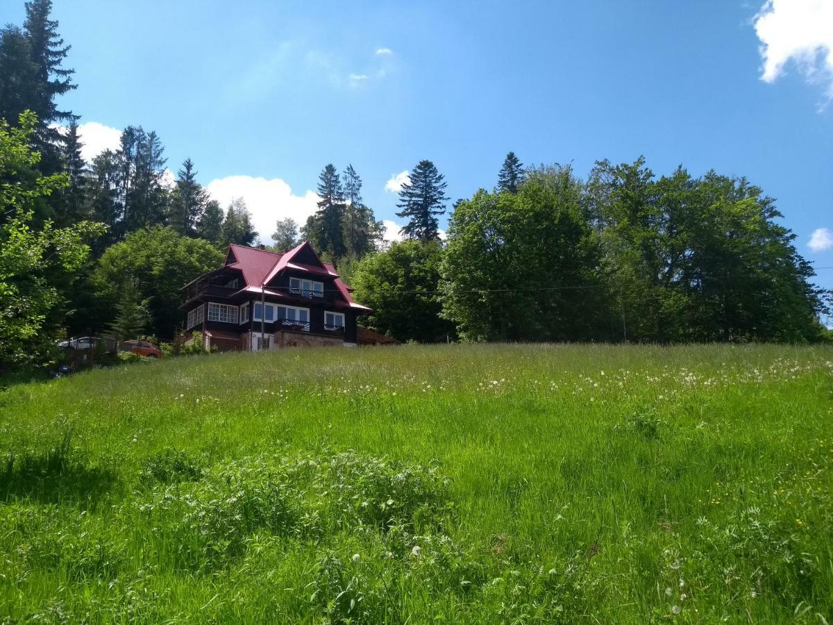 Willa Wislok Wisła Exteriör bild