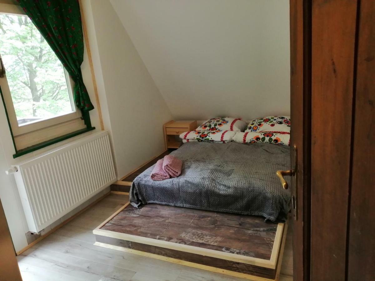 Willa Wislok Wisła Exteriör bild